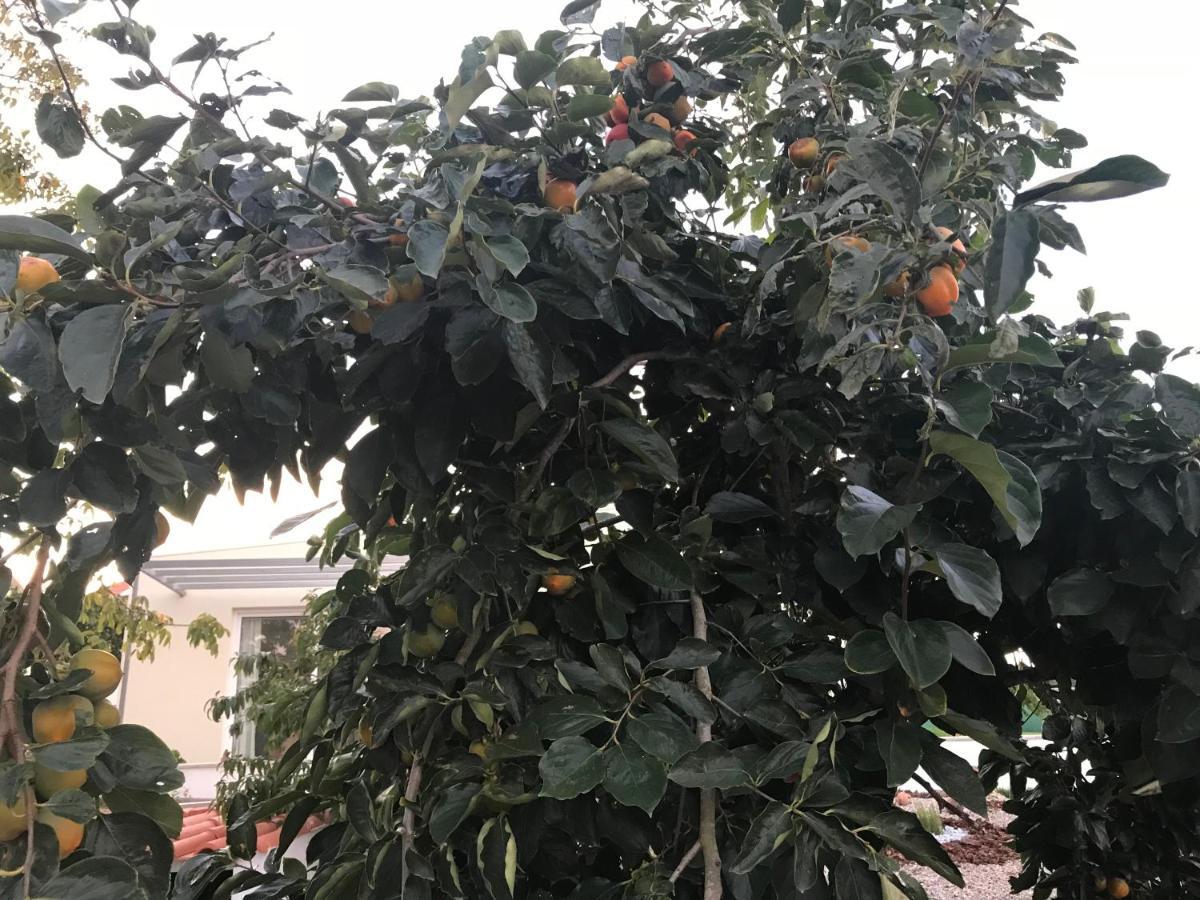 Monte Do Mosteiro Countryhouse 巴塔拉 外观 照片
