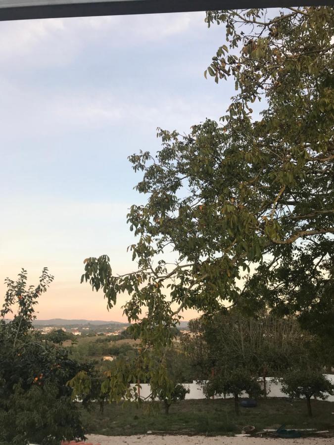 Monte Do Mosteiro Countryhouse 巴塔拉 外观 照片